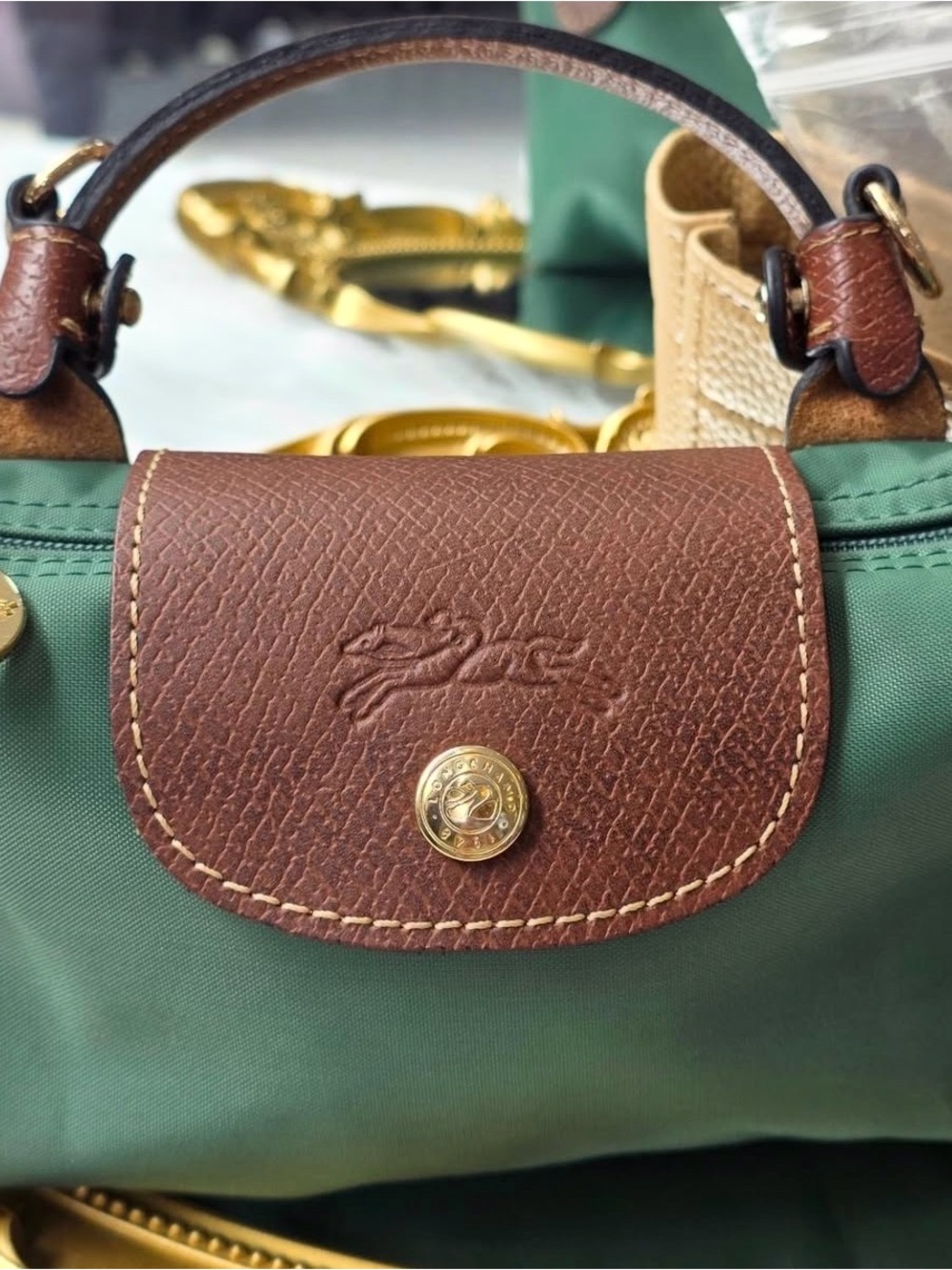 Longchamp Mini in Green - Picture 5 of 6
